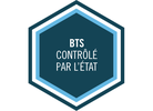 Logo BTS officiel